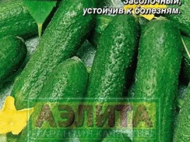 EROXA