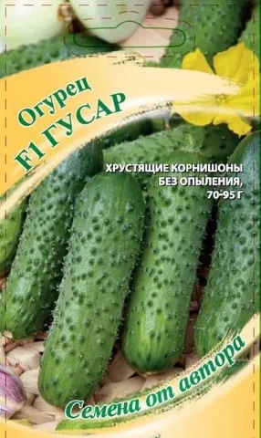 Пакет семян огурца Гусар с изображением свежих огурцов