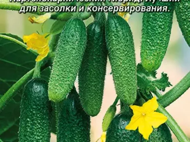 Хрустик
