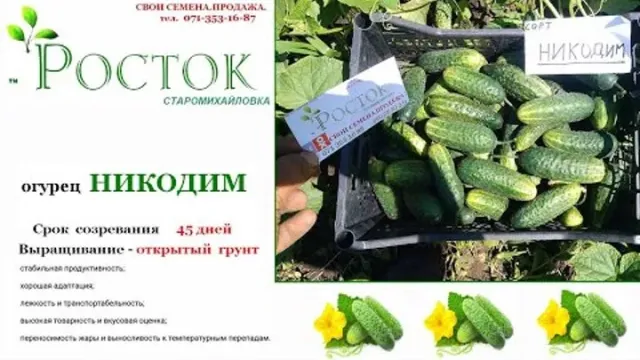 Seed packet of cucumber NICODIM with fruit photos
