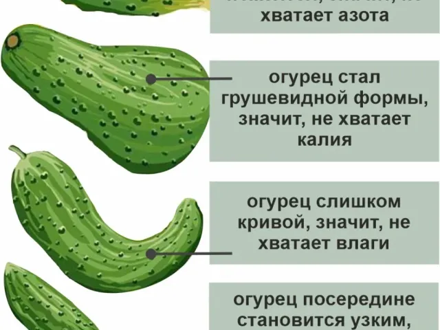 Вешние Воды