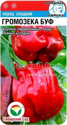 Seed packet of pepper GROMOZEKA BUF
