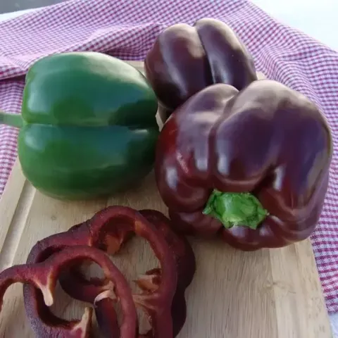 Ripe Ingrid pepper fruits on a wooden board