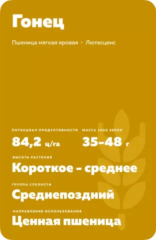Пакет насіння пшениці Гонець