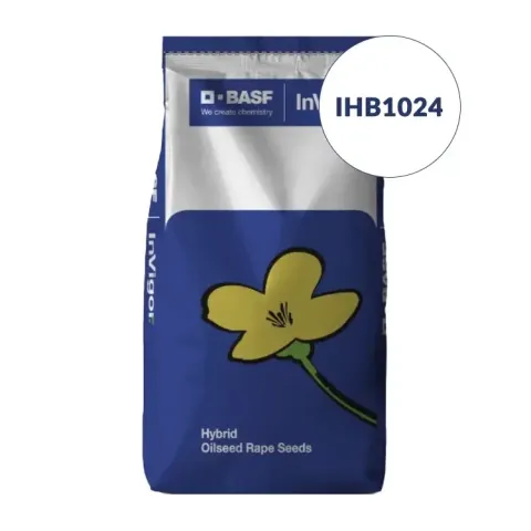 Упаковка насіння ріпаку BASF InVigor, сорт ІНВ1024