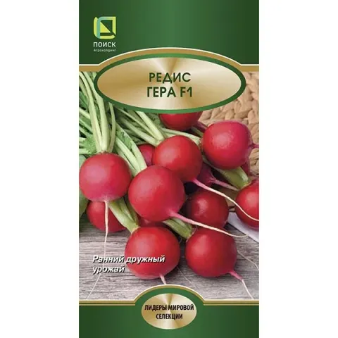 Seed packet of radish GERA F1 with image of red root vegetables