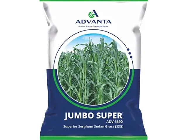 Jumbo max