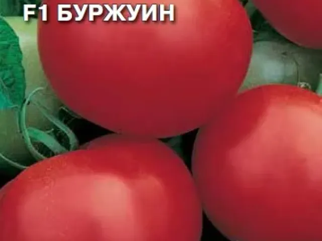 Буржуин