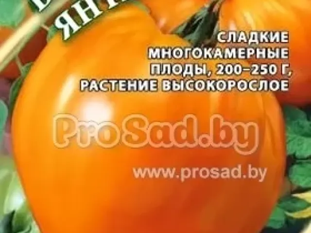 Бычье Сердце Янтарное