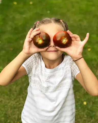 A girl holding two dark-colored Black Boomer variety tomatoes in front of her eyes.