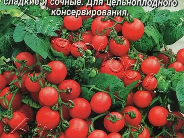 Красная Шапочка