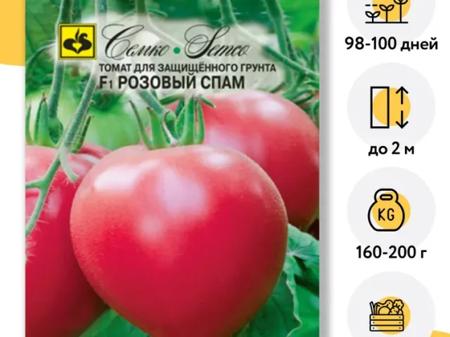 ЛП-02-11