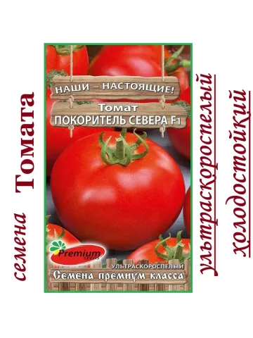 Package of tomato seeds 'Pokoritel Severa F1'