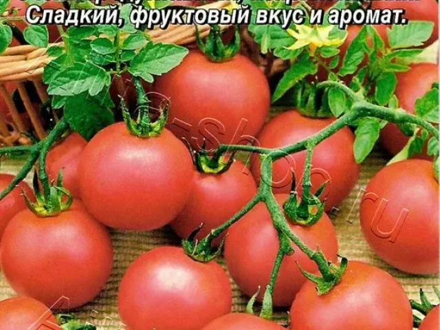 Вишенка Розовая