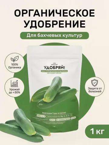 Package of organic fertilizer Courgette Seeds for zucchini