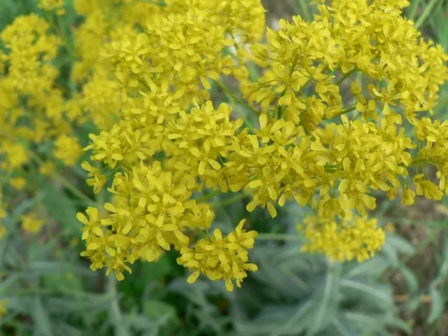 Иглинская