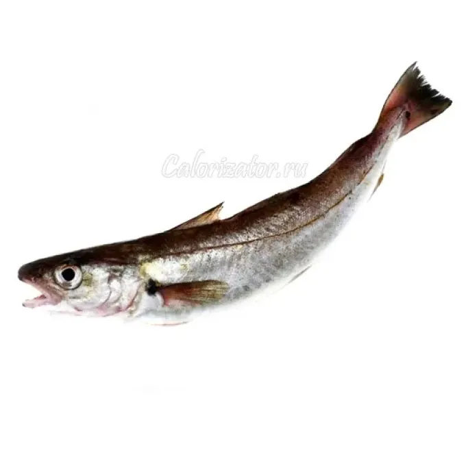 Whiting