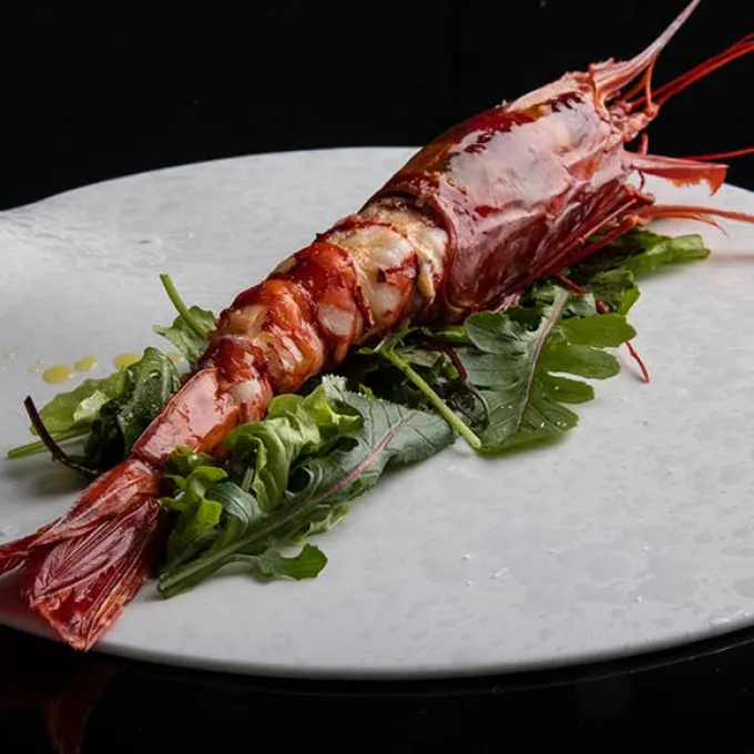 Scarlet shrimp