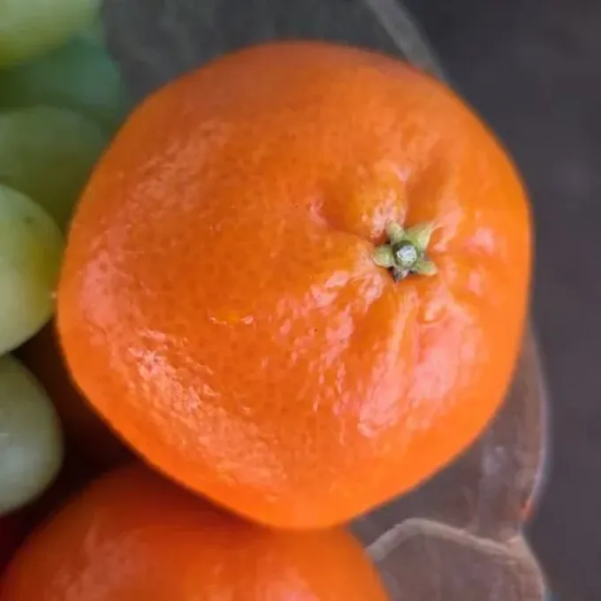 Mandarin orange