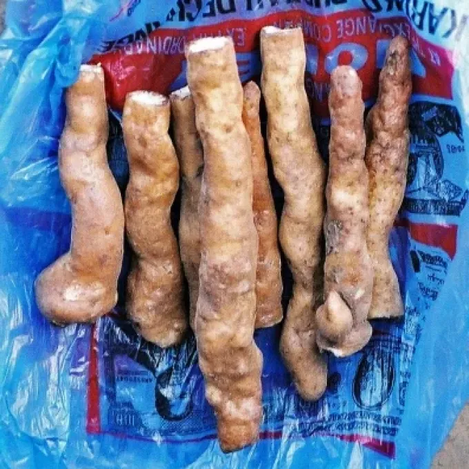 Колеус съедобный