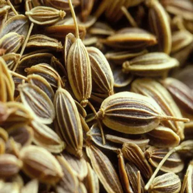 Ajwain