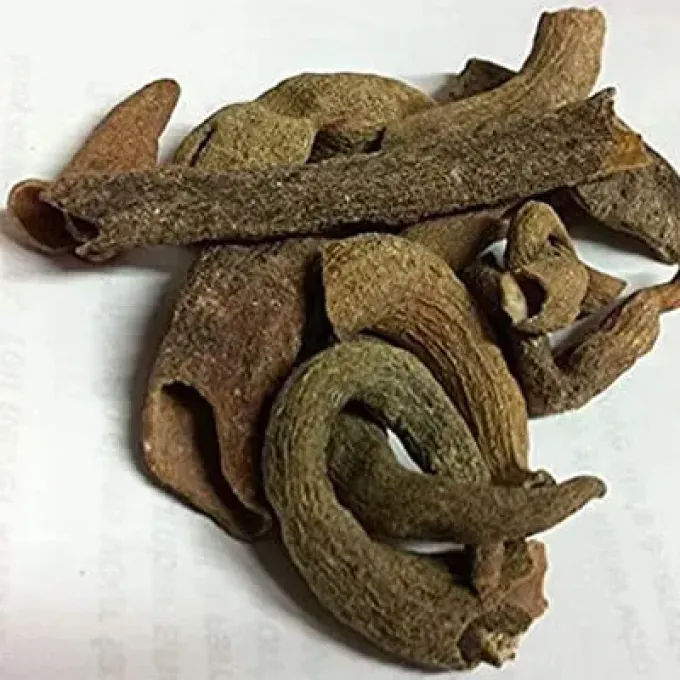 Pistacia integerrima