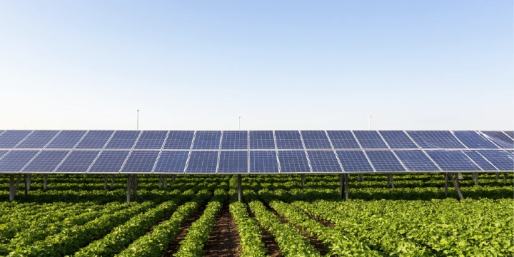 Развитие агровольтаики в Украине