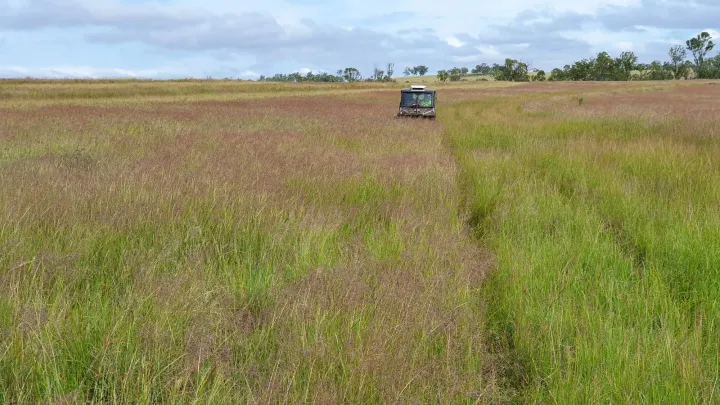 Queensland panic