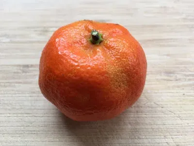 Тангор