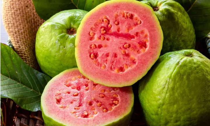 Mountain guava