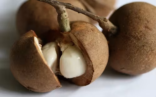 Baccaurea macrocarpa
