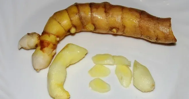 Curcuma mangga