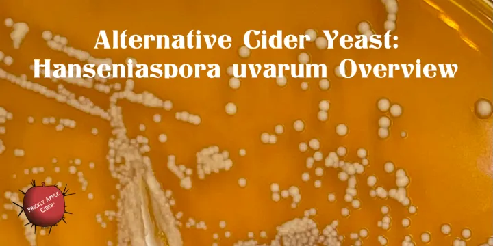 Hanseniaspora uvarum