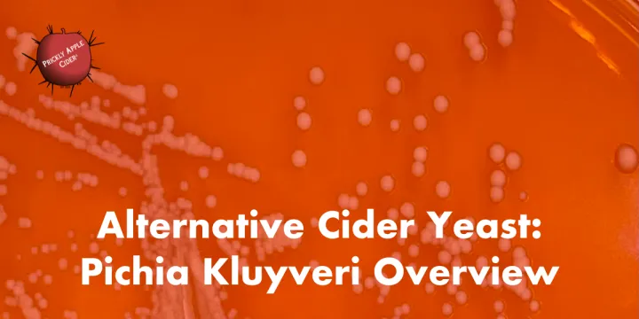 Pichia kluyveri