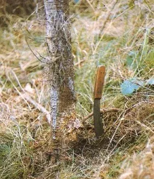 Gloeocystidiellum