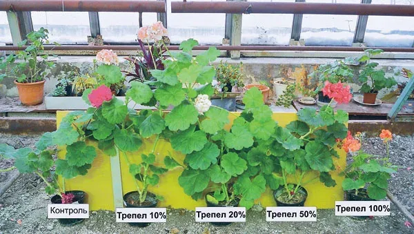 Дефицит кремния