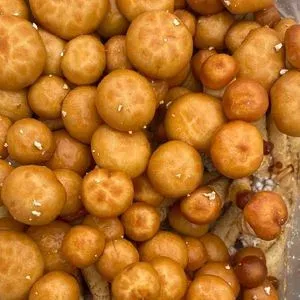 Pholiota nameko
