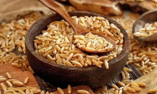 Durum wheat