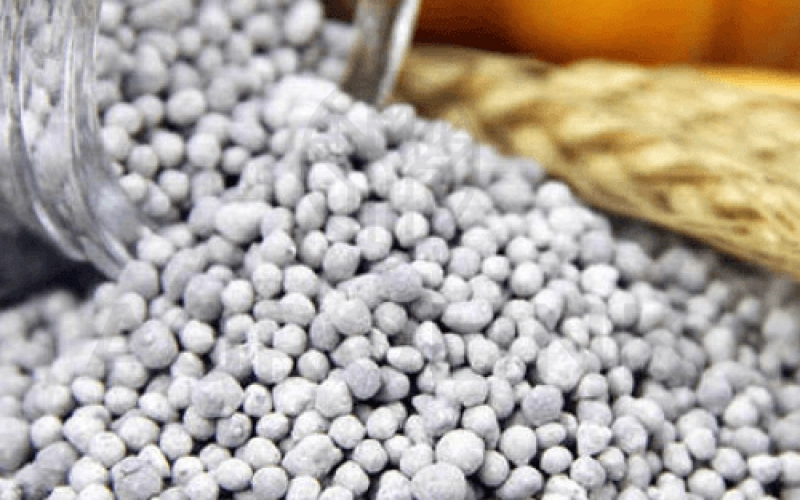 Гербициды: значимость применения и разновидности Гербициды: значимость применения и разновидности