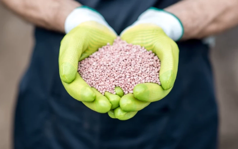 Особливості ринку добрив в Україні 2023 Особливості ринку добрив в Україні 2023