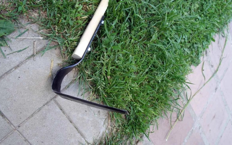 Полезные советы для тех, кто решил заняться органическим земледелием