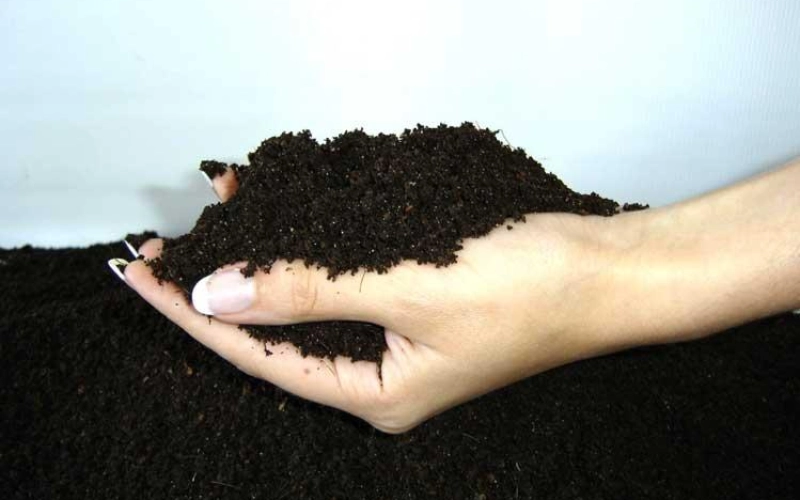 Выбор и применение субстратов для растений