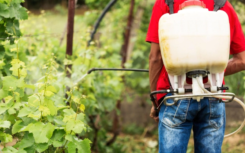 Бордосская смесь: надежная защита вашего сада Бордосская смесь: надежная защита вашего сада