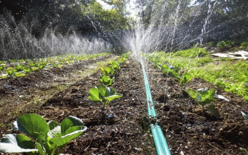 Енергоефективні рішення для парників