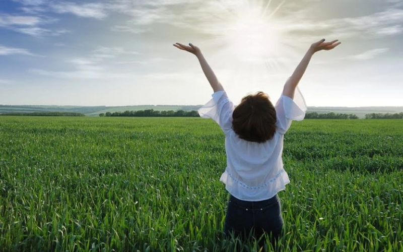 Реабилитация и лечение зависимостей: ключевые аспекты и подходы