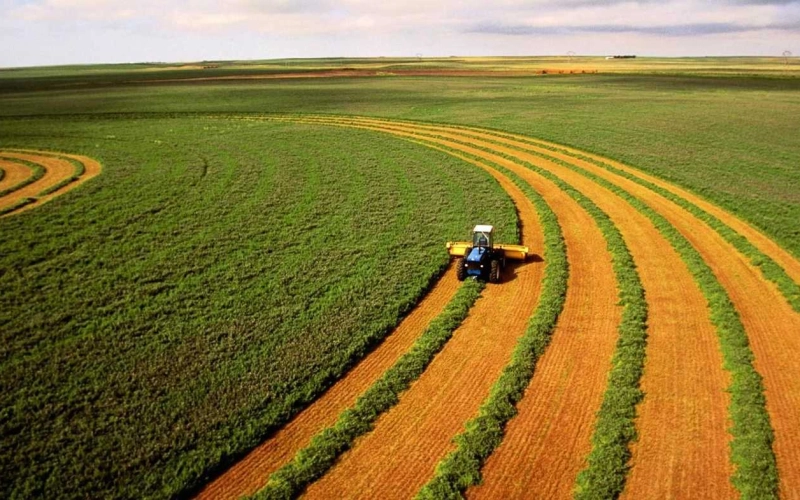 AgroGo: будущее сельского хозяйства уже здесь. Как цифровая платформа оптимизирует аренду техники и выполнение агроопераций