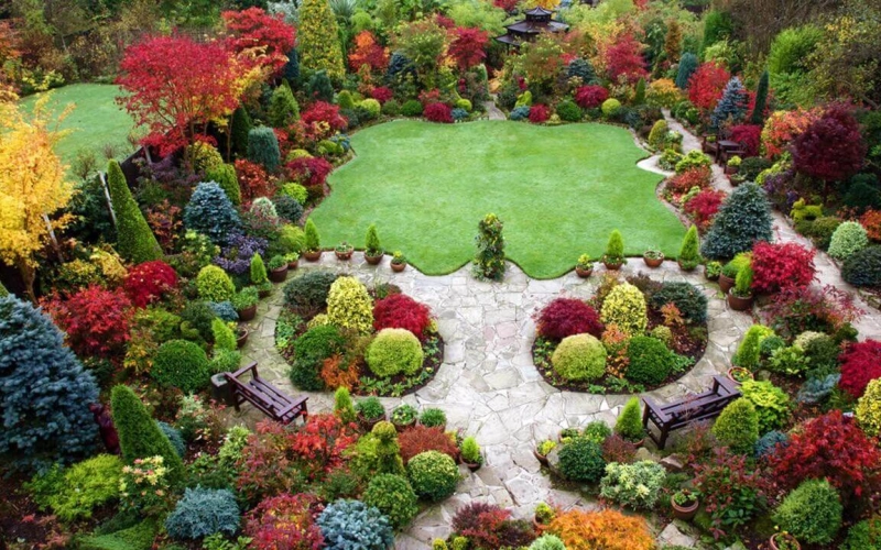 Догляд за декоративними рослинами протягом усього року.