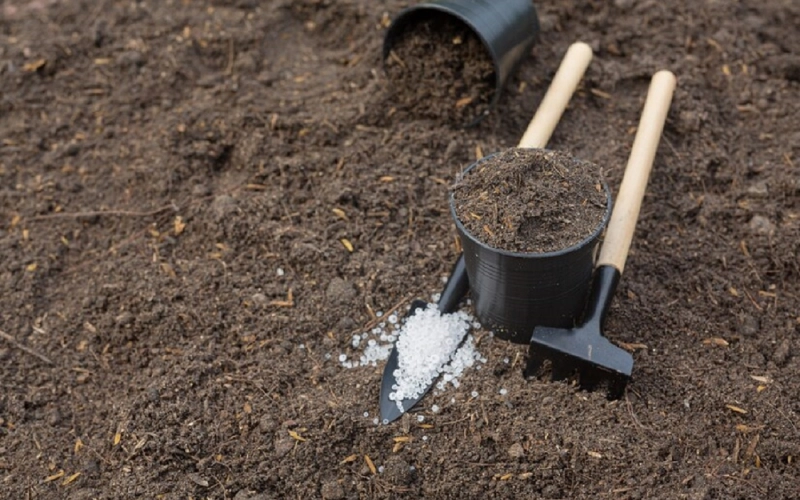 Які добрива найкраще вносити восени?