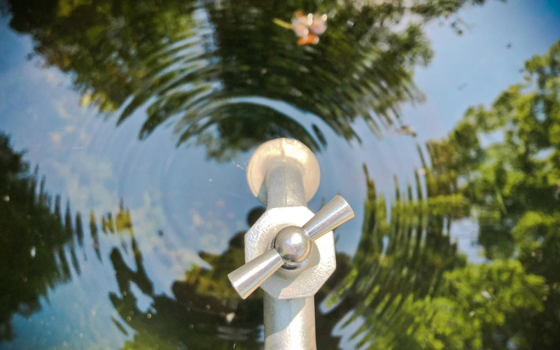 Водограй бактерии — натуральная формула для эффективной очистки