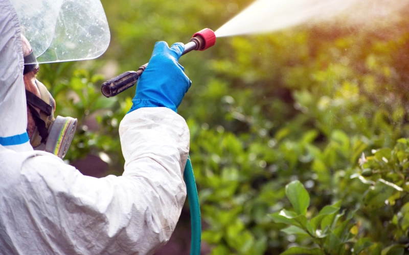 Системные фунгициды нового поколения: как работают комбинированные препараты